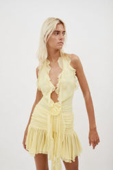 Rose Detailed Halterneck Mini Dress
