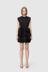 Rose Applique Mini Dress