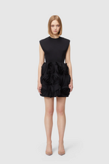 Rose Applique Mini Dress