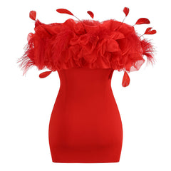 Unmatched Feather Trim Off Shoulder Dress