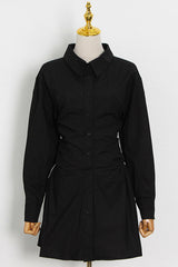 Profresh Pleated Long Sleeve Shirt Dress