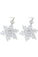 Transparent Snow Earrings