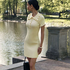 Explained It Better Mini Dress