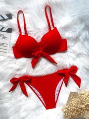 Elegant Swimsuit â€?Crisscross Style